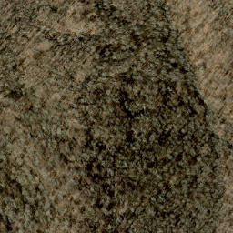 Satellite imagery of Shell Ridge, US
