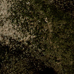 Satellite imagery of Sarvis Ridge, US