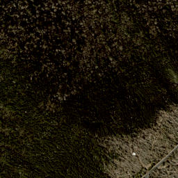 Satellite imagery of Coltens Cliff, US