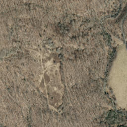 Satellite imagery of Elk Hollow Ridge, US
