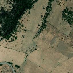 Satellite imagery of survey_point, DZ