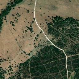 Satellite imagery of survey_point, DZ