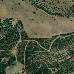 Satellite imagery of survey_point, DZ