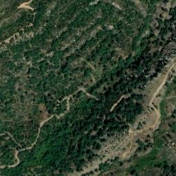 Satellite imagery of survey_point, DZ