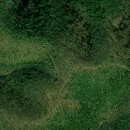 Satellite imagery of Rich Mountain, US