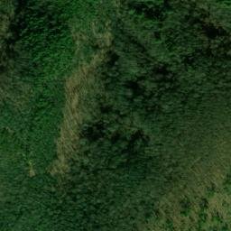 Satellite imagery of Rich Mountain, US