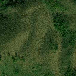 Satellite imagery of Rich Mountain, US