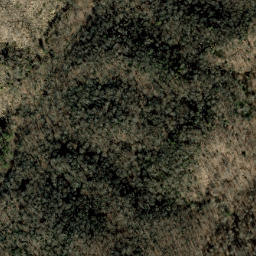 Satellite imagery of Fork Ridge, US