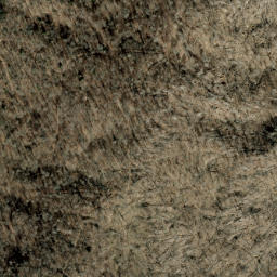 Satellite imagery of Fork Ridge, US