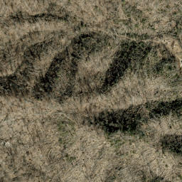 Satellite imagery of Fork Ridge, US