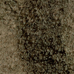 Satellite imagery of Shell Ridge, US