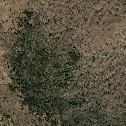 Satellite imagery of Bear Ridge, US