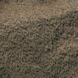 Satellite imagery of Bear Ridge, US
