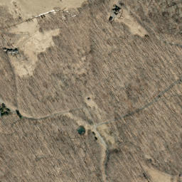 Satellite imagery of Chestnut Oak Ridge, US