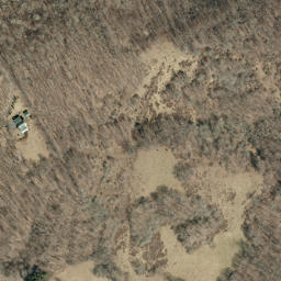 Satellite imagery of Chestnut Oak Ridge, US