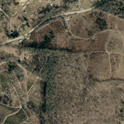 Satellite imagery of Loggy Ridge, US