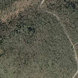 Satellite imagery of Pilot Ridge, US