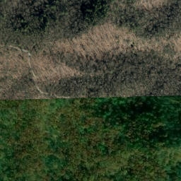 Satellite imagery of Long Ridge, US