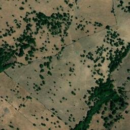 Satellite imagery of survey_point, DZ