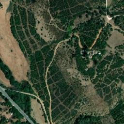 Satellite imagery of survey_point, DZ