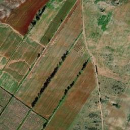 Satellite imagery of Djebel Korima, DZ