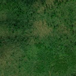 Satellite imagery of Rich Mountain, US