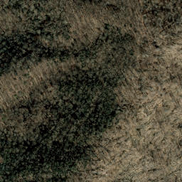 Satellite imagery of Fork Ridge, US