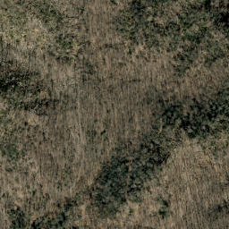 Satellite imagery of Beech Creek Ridge, US