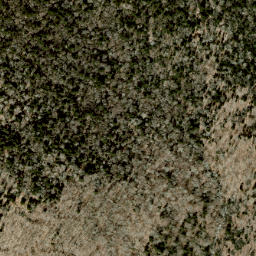 Satellite imagery of Bearpen Ridge, US