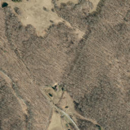 Satellite imagery of Chestnut Oak Ridge, US