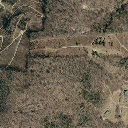 Satellite imagery of Loggy Ridge, US