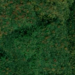 Satellite imagery of Backbone Ridge, US