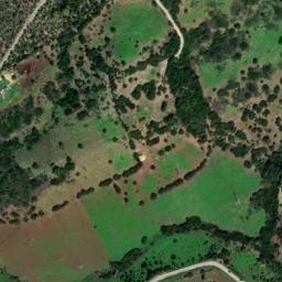 Satellite imagery of survey_point, DZ