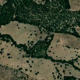 Satellite imagery of survey_point, DZ