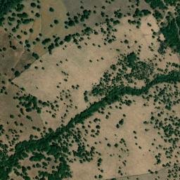 Satellite imagery of survey_point, DZ