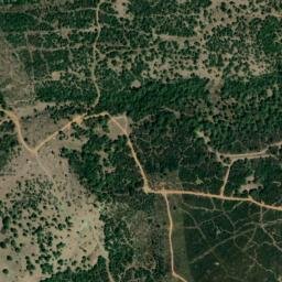 Satellite imagery of survey_point, DZ
