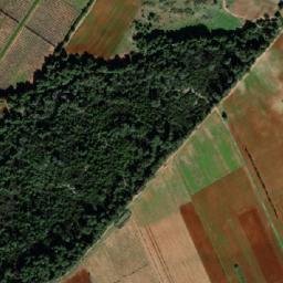 Satellite imagery of Djebel Korima, DZ