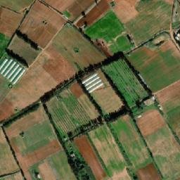 Satellite imagery of Djebel Korima, DZ