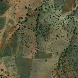 Satellite imagery of Djebel Mekkame, DZ