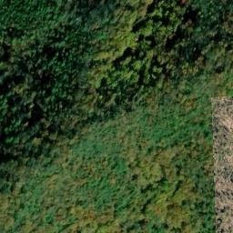 Satellite imagery of Temple Ridge, US