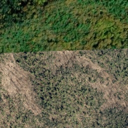 Satellite imagery of Temple Ridge, US