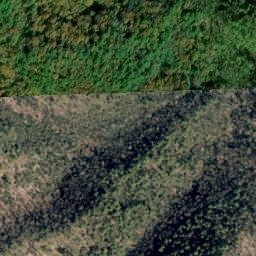 Satellite imagery of Unaka Springs Prospect, US