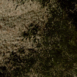 Satellite imagery of Eagle Cliff, US