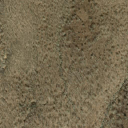 Satellite imagery of Beetree Ridge, US