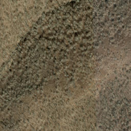 Satellite imagery of Beetree Ridge, US