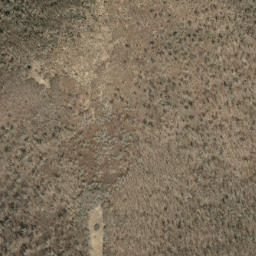 Satellite imagery of Beetree Ridge, US