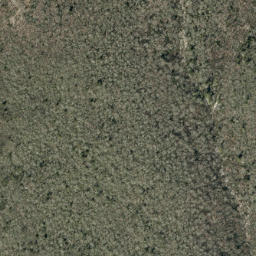 Satellite imagery of Rough Ridge, US