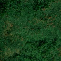 Satellite imagery of Backbone Ridge, US