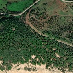 Satellite imagery of survey_point, DZ