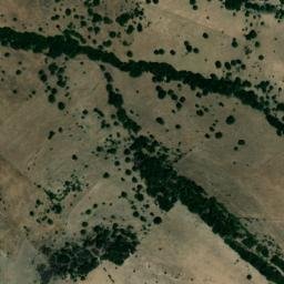 Satellite imagery of survey_point, DZ